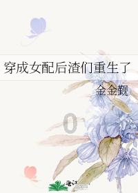 疯狂的小偷
