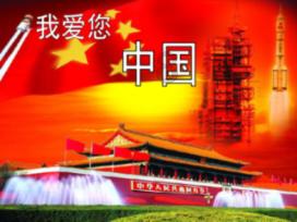 冬青的养殖方法和注意事项有哪些游戏画面