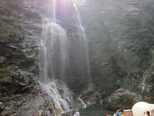 春雨直播app